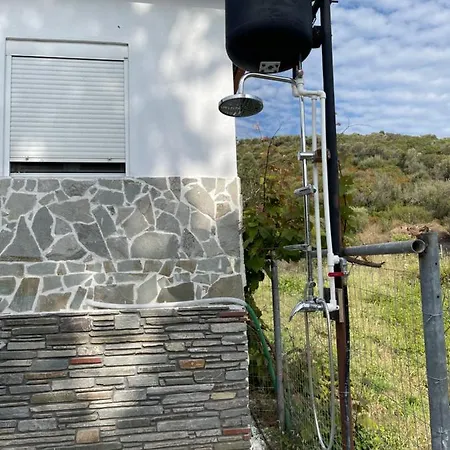 Alexandros أمولياني