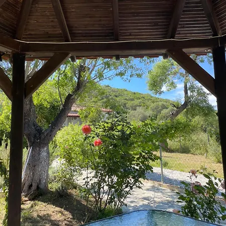 Alexandros أمولياني