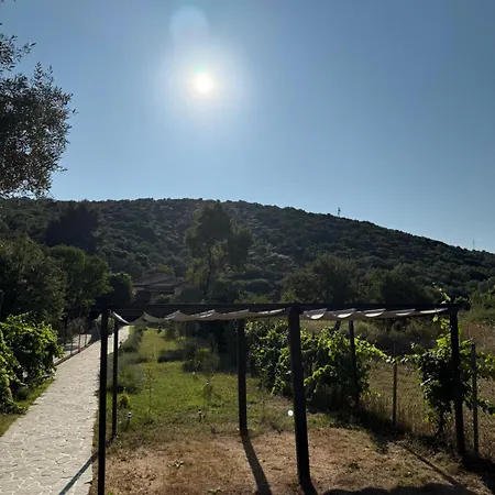 Alexandros אמוליאני