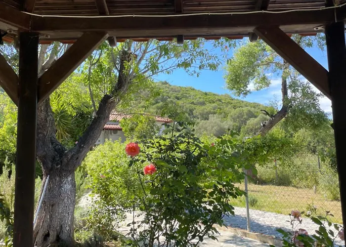 Alexandros Ammouliani