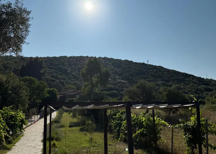 Alexandros Ammouliani