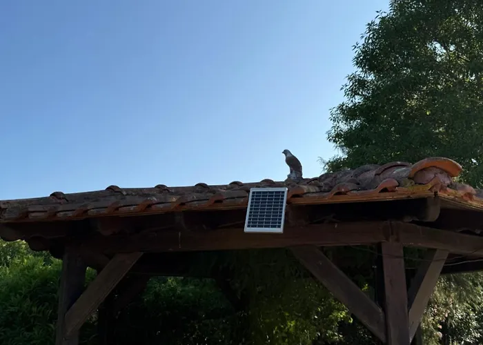 Alexandros Ammouliani