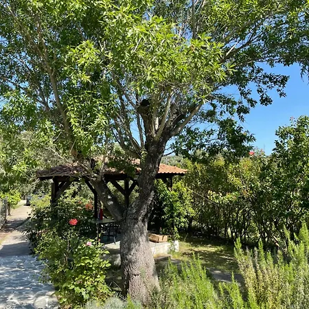 Alexandros Villa