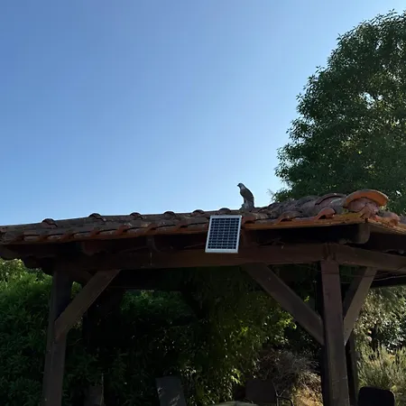 Alexandros Ammouliani