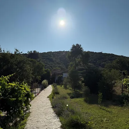 Villa Alexandros