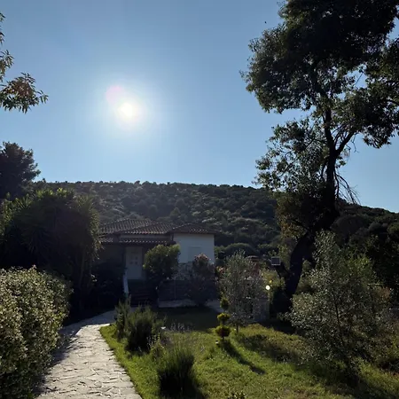Alexandros Villa *