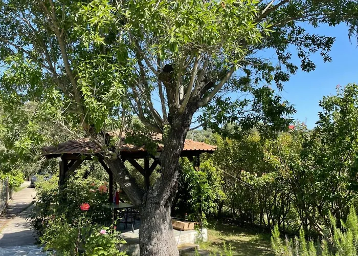 Alexandros Villa