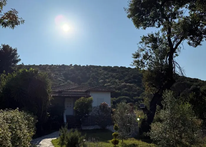 Alexandros Villa *