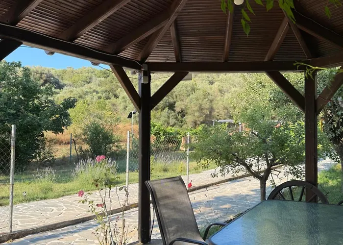 Alexandros Villa *